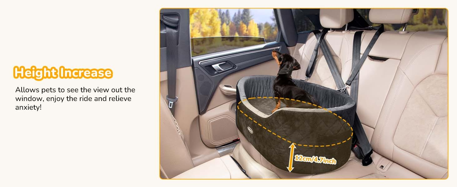 dog car seat