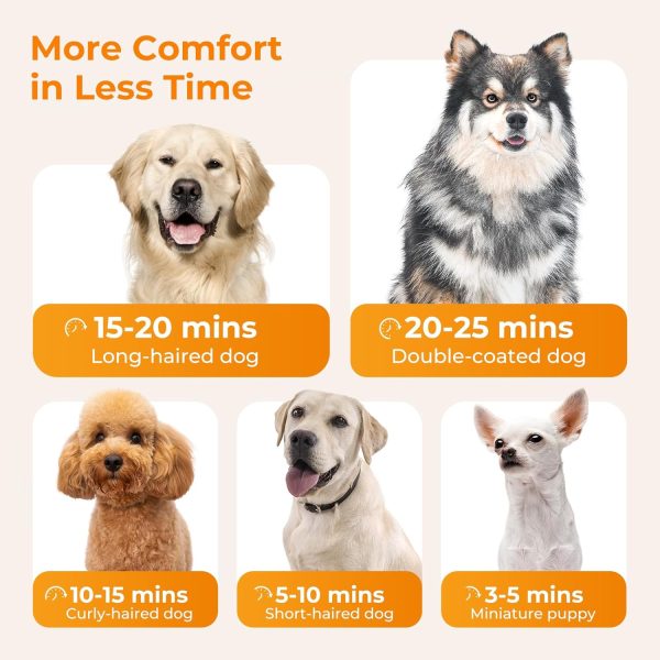 Pecute High-Velocity Dog Hair Dryer, Dog Blow Dryer with Adjustable Speed & Temp, Dog Dryer with Cool-Warm-Hot Cycle Mode, 4 Nozzles, Soft Noise Pet Dryer for Grooming, Heat Resistant Hose, 6.5ft Cord - Image 6