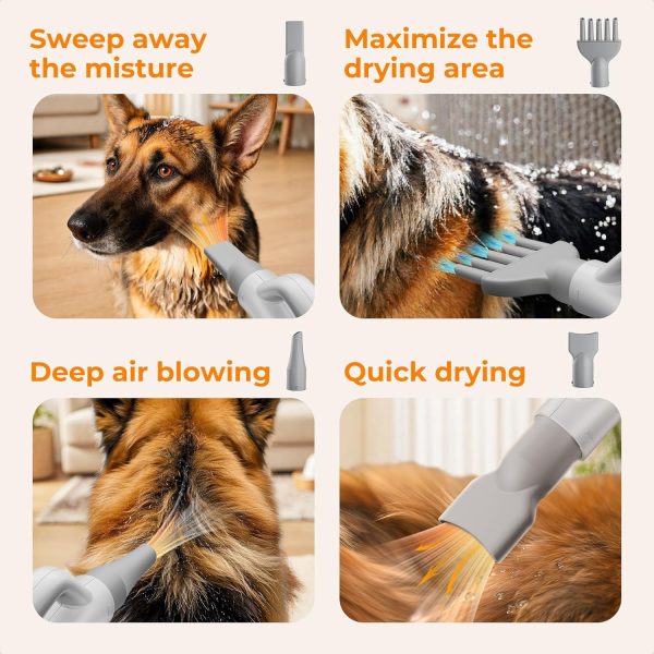 Pecute High-Velocity Dog Hair Dryer, Dog Blow Dryer with Adjustable Speed & Temp, Dog Dryer with Cool-Warm-Hot Cycle Mode, 4 Nozzles, Soft Noise Pet Dryer for Grooming, Heat Resistant Hose, 6.5ft Cord - Image 7