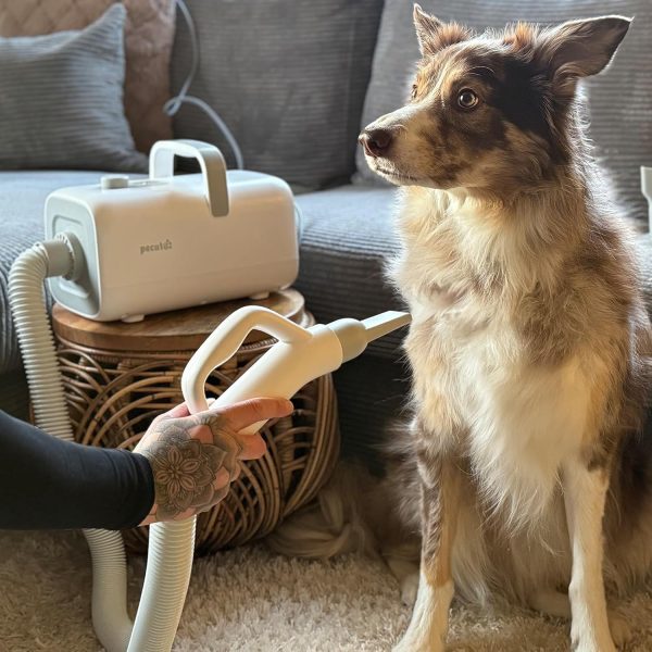 Pecute High-Velocity Dog Hair Dryer, Dog Blow Dryer with Adjustable Speed & Temp, Dog Dryer with Cool-Warm-Hot Cycle Mode, 4 Nozzles, Soft Noise Pet Dryer for Grooming, Heat Resistant Hose, 6.5ft Cord - Image 9