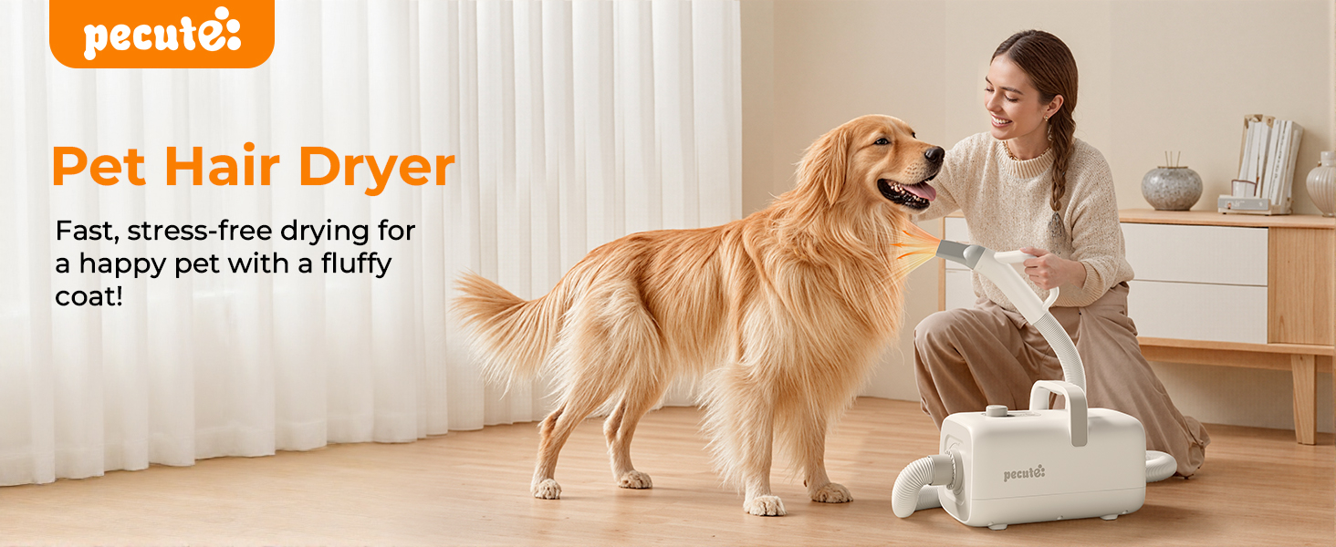 dog hair dryer