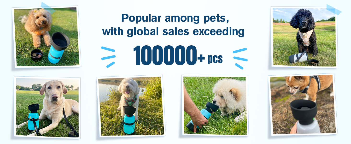dog water bottle